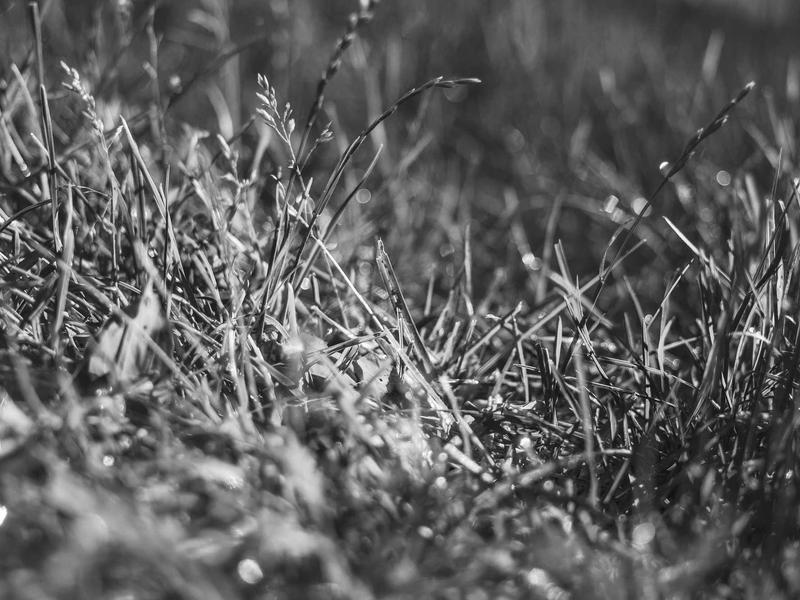 sudoku senior friendly screenshot 2